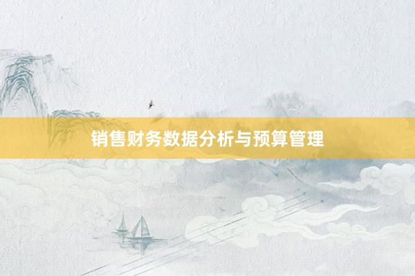 销售财务数据分析与预算管理