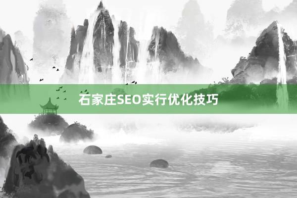 石家庄SEO实行优化技巧