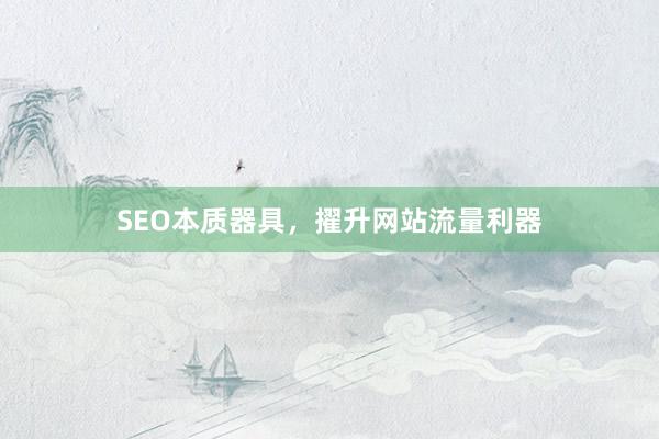 SEO本质器具，擢升网站流量利器