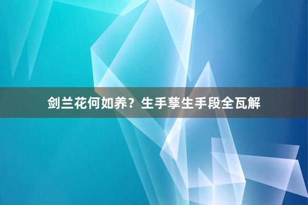 剑兰花何如养？生手孳生手段全瓦解